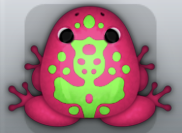 Violet Muscus Magus Frog from Pocket Frogs