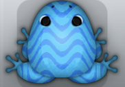 Azure Caelus Marinus Frog from Pocket Frogs