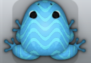 Azure Callaina Marinus Frog from Pocket Frogs