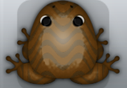 Cocos Bruna Marinus Frog from Pocket Frogs