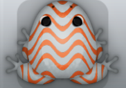 Glass Carota Marinus Frog from Pocket Frogs