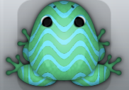 Marine Callaina Marinus Frog from Pocket Frogs