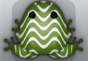 Olive Albeo Marinus Frog from Pocket Frogs