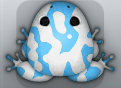 Azure Albeo Marmorea Frog from Pocket Frogs