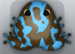 Azure Bruna Marmorea Frog from Pocket Frogs