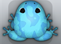 Azure Callaina Marmorea Frog from Pocket Frogs
