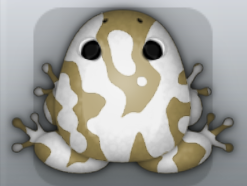 Beige Albeo Marmorea Frog from Pocket Frogs