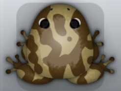 Beige Bruna Marmorea Frog from Pocket Frogs