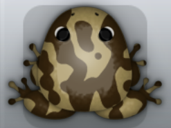 Beige Cafea Marmorea Frog from Pocket Frogs