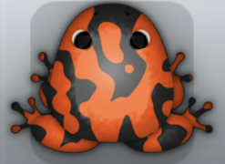 Black Carota Marmorea Frog from Pocket Frogs