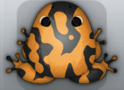 Black Chroma Marmorea Frog from Pocket Frogs