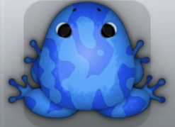 Blue Caelus Marmorea Frog from Pocket Frogs