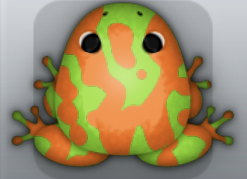 Green Chroma Marmorea Frog from Pocket Frogs