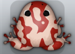 Maroon Ceres Marmorea Frog from Pocket Frogs