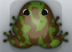 Olive Bruna Marmorea Frog from Pocket Frogs