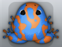 Tangelo Caelus Marmorea Frog from Pocket Frogs
