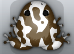 White Bruna Marmorea Frog from Pocket Frogs