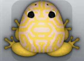 Golden Ceres Mazeus Frog from Pocket Frogs