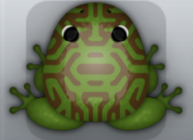 Olive Bruna Mazeus Frog from Pocket Frogs