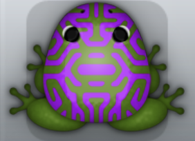 Olive Viola Mazeus Frog from Pocket Frogs