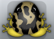 Beige Aurum Mixtus Frog from Pocket Frogs