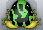 Emerald Aurum Mixtus Frog from Pocket Frogs