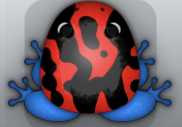Red Caelus Mixtus Frog from Pocket Frogs