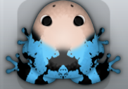 Azure Ceres Nasus Frog from Pocket Frogs