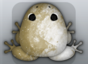 Beige Albeo Nebula Frog from Pocket Frogs