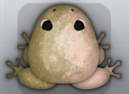 Beige Ceres Nebula Frog from Pocket Frogs