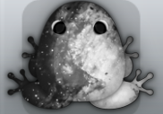 Black Albeo Nebula Frog from Pocket Frogs