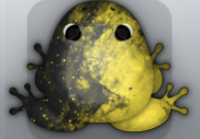 Black Aurum Nebula Frog from Pocket Frogs