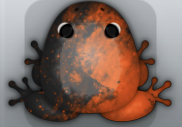 Black Carota Nebula Frog from Pocket Frogs