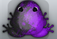 Black Viola Nebula Frog from Pocket Frogs