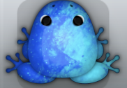 Blue Callaina Nebula Frog from Pocket Frogs