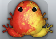 Red Aurum Nebula Frog from Pocket Frogs