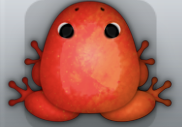 Red Carota Nebula Frog from Pocket Frogs