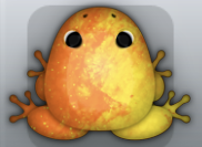 Tangelo Aurum Nebula Frog from Pocket Frogs