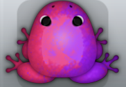 Violet Viola Nebula Frog from Pocket Frogs