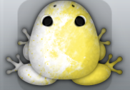 White Aurum Nebula Frog from Pocket Frogs