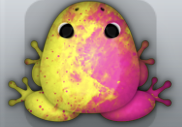 Yellow Floris Nebula Frog from Pocket Frogs