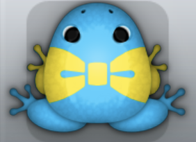 Azure Aurum Nodare Frog from Pocket Frogs