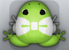 Green Albeo Nodare Frog from Pocket Frogs