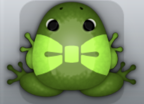 Olive Folium Nodare Frog from Pocket Frogs