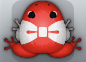 Red Albeo Nodare Frog from Pocket Frogs