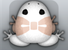 White Ceres Nodare Frog from Pocket Frogs