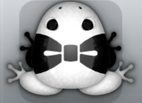 White Picea Nodare Frog from Pocket Frogs