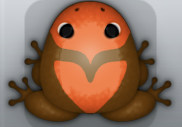 Cocos Carota Obaro Frog from Pocket Frogs