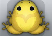 Golden Aurum Obaro Frog from Pocket Frogs