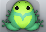 Marine Folium Obaro Frog from Pocket Frogs